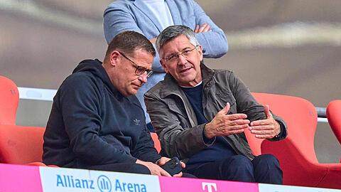 开云体育-穆西亚拉+比朔夫，拜仁版齐达内+帕文？